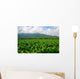 Thailand Tobacco Farm Wall Decal