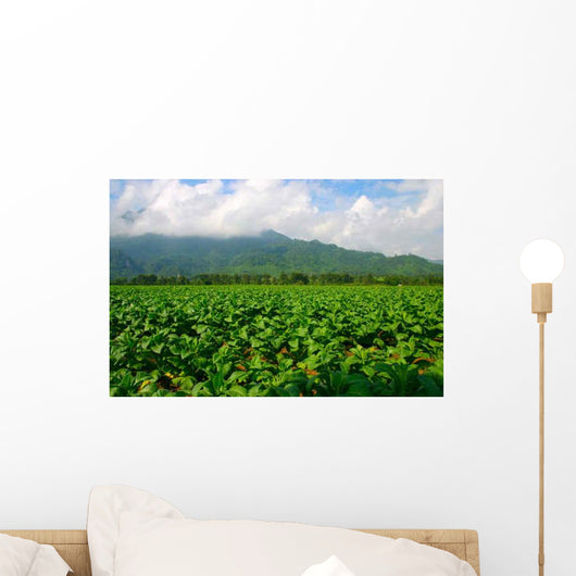 Thailand Tobacco Farm Wall Decal