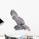 Flying Great Grey Owl Wall Decal