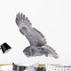 Flying Great Grey Owl Wall Decal