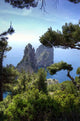Capri Wall Decal Design 9
