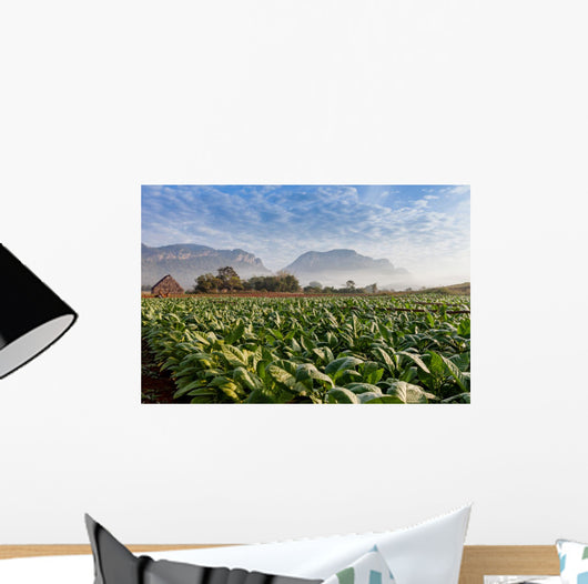 Vineales Cuba Tobacco Plantation Wall Decal