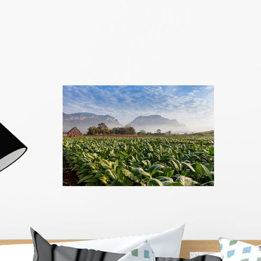 Vineales Cuba Tobacco Plantation Wall Decal