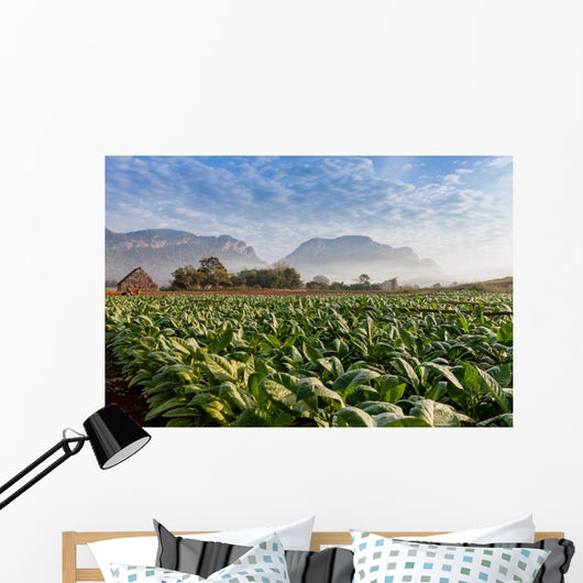 Vineales Cuba Tobacco Plantation Wall Decal