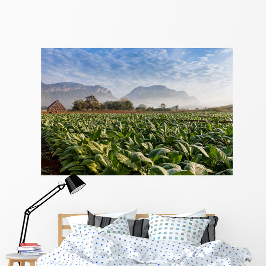 Vineales Cuba Tobacco Plantation Wall Decal