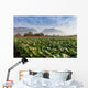 Vineales Cuba Tobacco Plantation Wall Decal