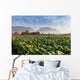 Vineales Cuba Tobacco Plantation Wall Decal