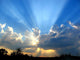 Sun Burst Wall Decal
