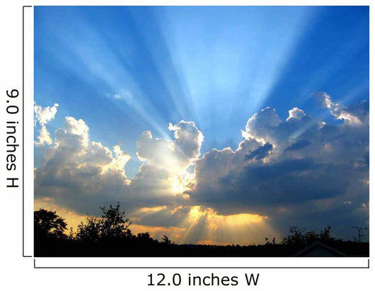 Sun Burst Wall Decal