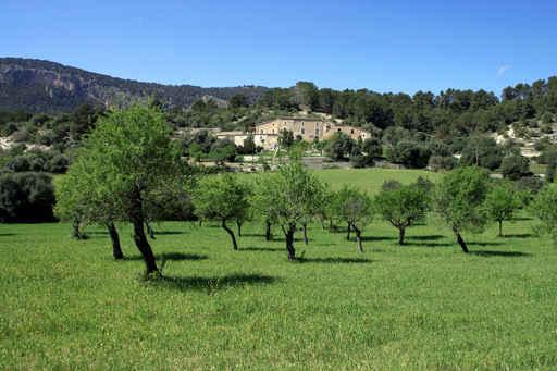 Mallorca Wall Decal