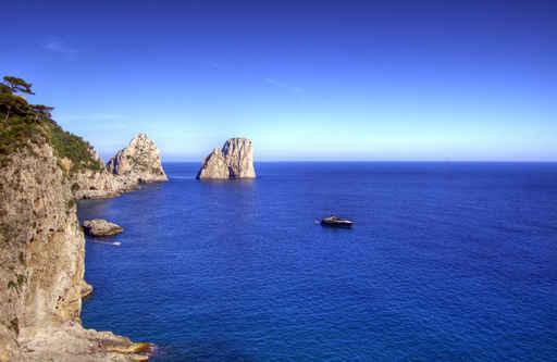 Capri Wall Decal Design 8