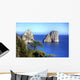 Capri Wall Decal Design 7