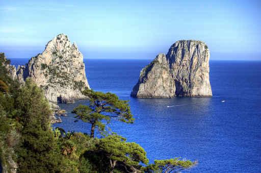 Capri Wall Decal Design 7