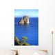Capri Wall Decal Design 5