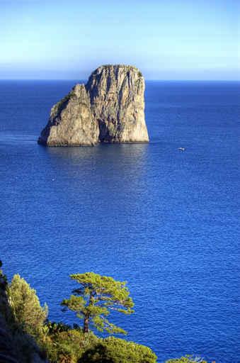 Capri Wall Decal Design 5
