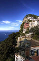 Capri Wall Decal Design 4