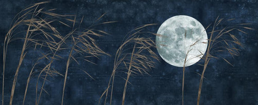Moon and Grass Collage Wall Decal