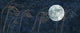 Moon and Grass Collage Wall Decal