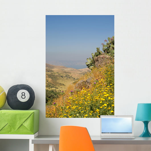 Golan Heights and over Wall Decal