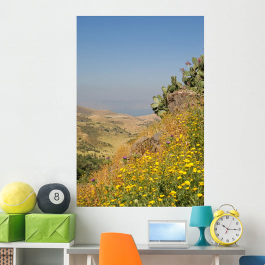 Golan Heights and over Wall Decal