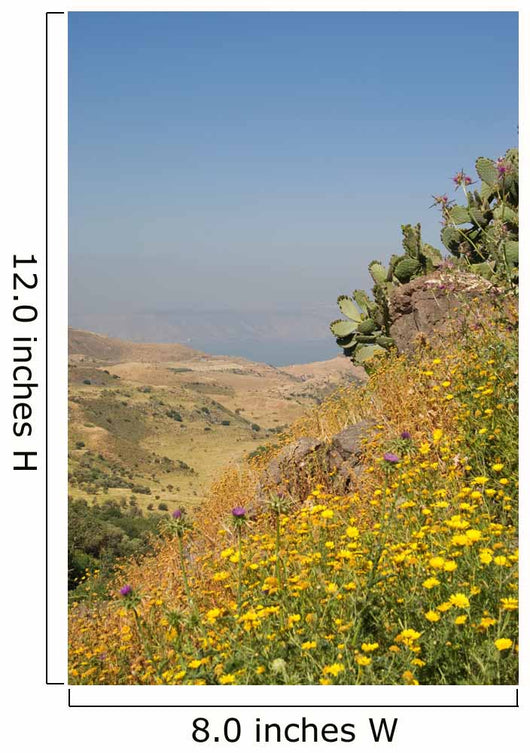 Golan Heights and over Wall Decal
