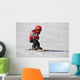 Ski Racer Wall Decal