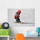 Ski Racer Wall Decal