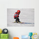 Ski Racer Wall Decal