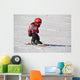 Ski Racer Wall Decal