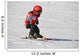 Ski Racer Wall Decal