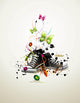 Shoe Vector Composition Wall Decal
