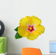 Yellow Hibiscus Flower Wall Decal