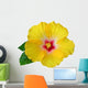 Yellow Hibiscus Flower Wall Decal