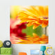 Closeup Photo Yellow Daisy-gerbera Wall Decal Design 2