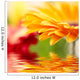 Closeup Photo Yellow Daisy-gerbera Wall Decal Design 2