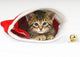 Bengal Cat Christmas Hat Wall Decal