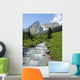 Alpine Stream Wall Decal
