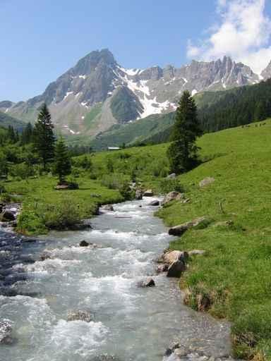 Alpine Stream Wall Decal