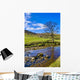 Picturesque Countryside River Wall Decal