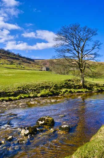 Picturesque Countryside River Wall Decal