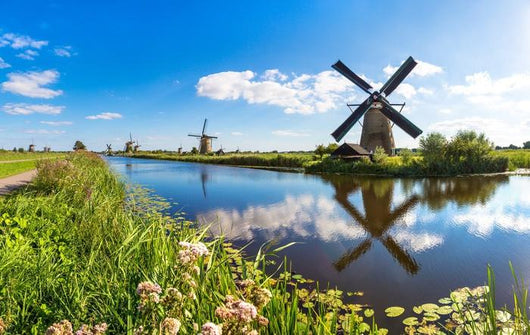 Windmills and Canal Kinderdijk Wall Decal