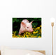 Lucky Pig in Flowers Wall Mural