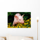 Lucky Pig in Flowers Wall Mural