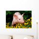 Lucky Pig in Flowers Wall Mural