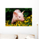 Lucky Pig in Flowers Wall Mural