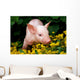 Lucky Pig in Flowers Wall Mural