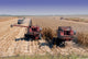 Combines Harvesting Corn Wall Decal