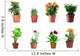 Set Potted Plants Wall Stickers Wall Decal