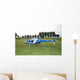 Helicopter Wall Decal