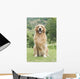 Golden Retriever Wall Decal